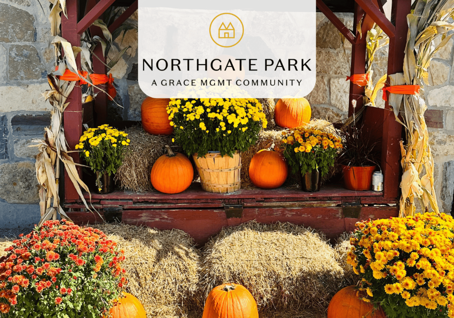 Northgate Park - Oktoberfest - Northgate Park