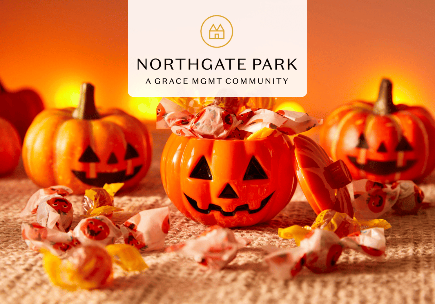 NGP - TRUNK 1 - Northgate Park