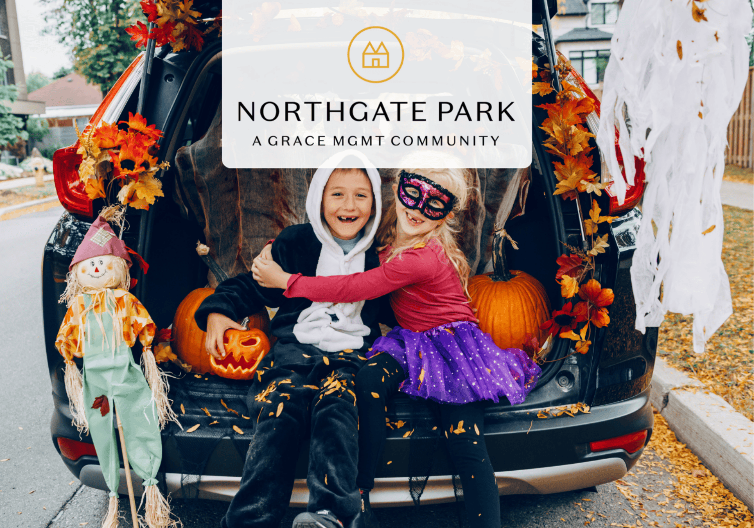 NGP - TRUNK - Northgate Park