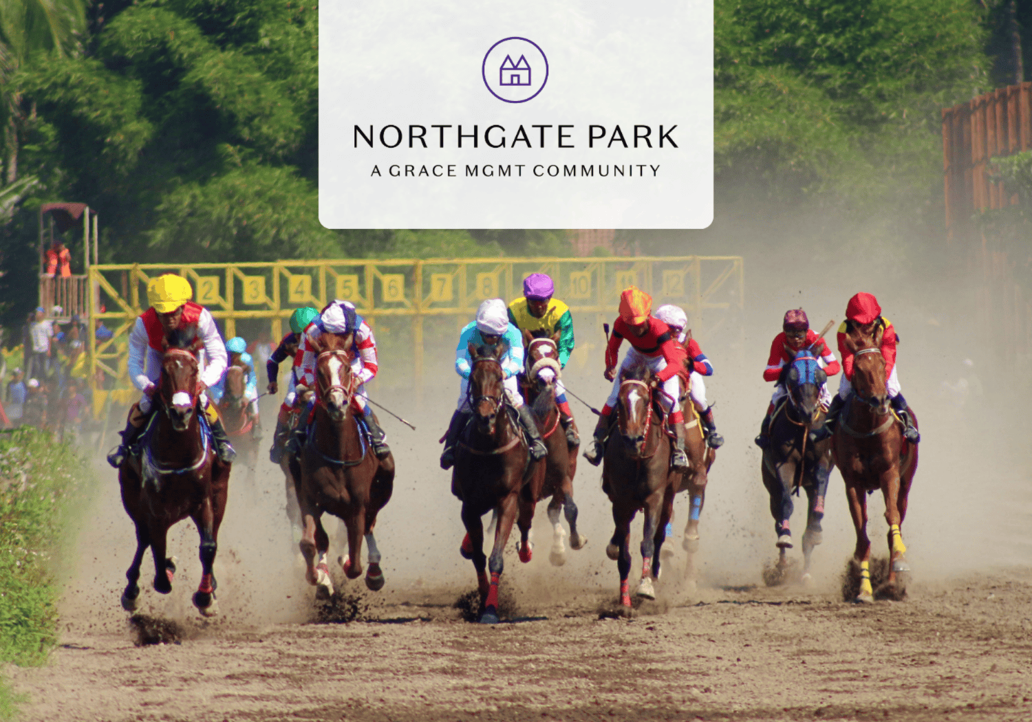 Horse race on a dirt track with colorful jockeys riding forward as dust rises, a Northgate Park sign overhead in a white panel.