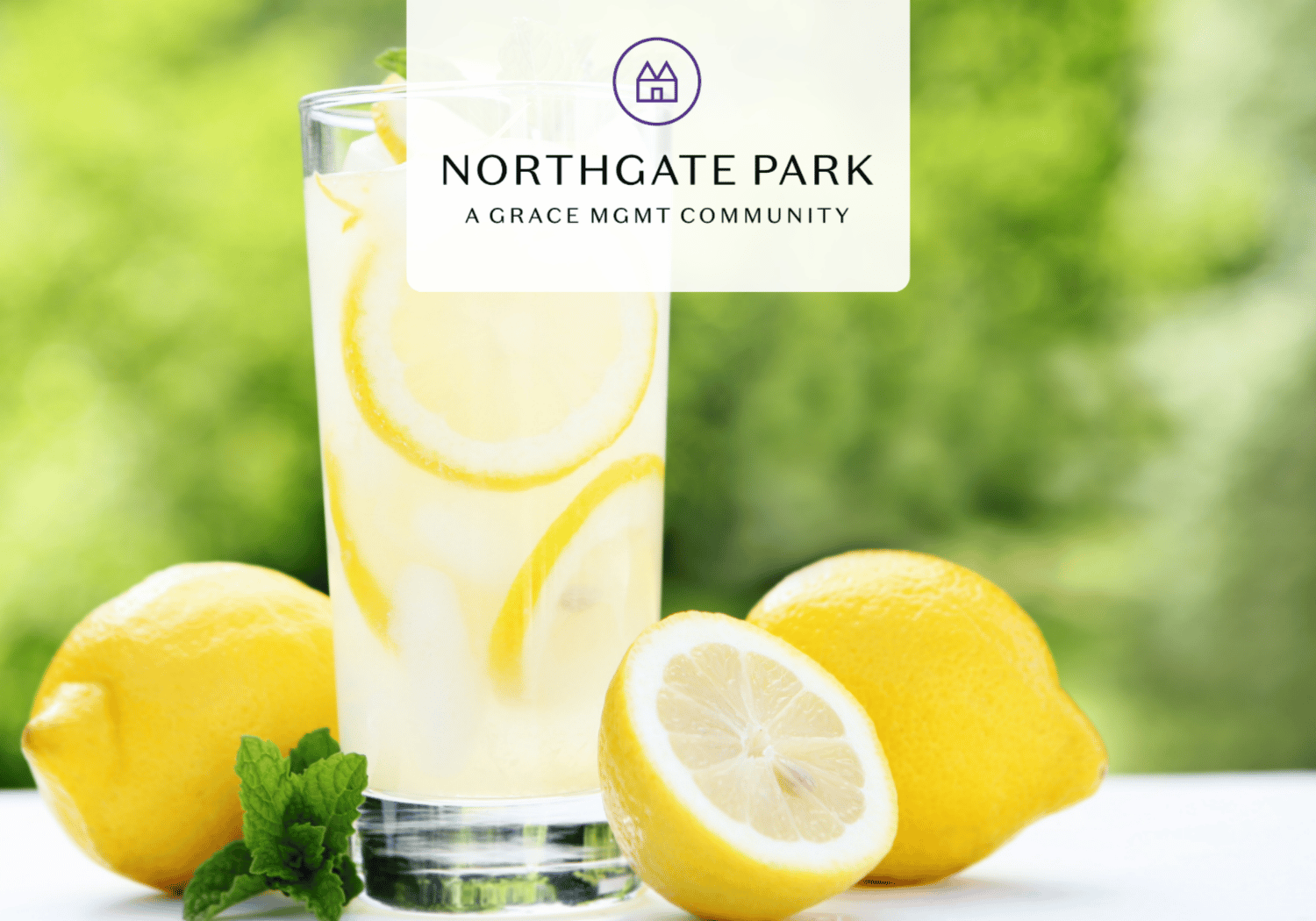 Glass of lemonade with lemon slices and mint on a white surface, bright green background, Northgate Park branding overlay.